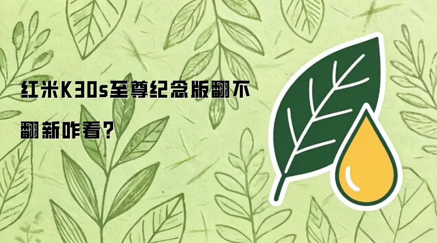 红米K30s至尊纪念版翻不翻新咋看