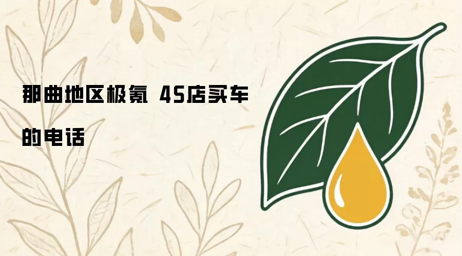 那曲地区极氪4S店买车的电话