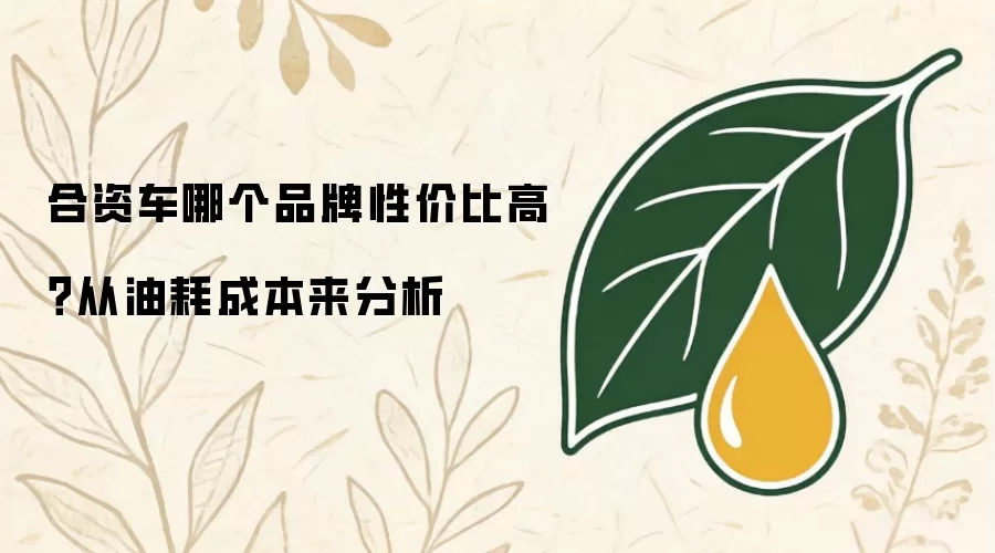 合资车哪个品牌性价比高？从油耗成本来分析