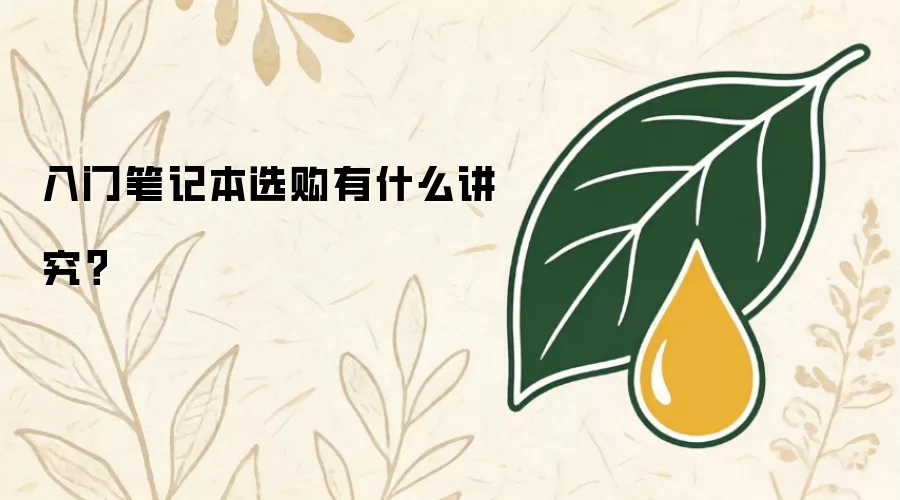 入门笔记本选购有什么讲究