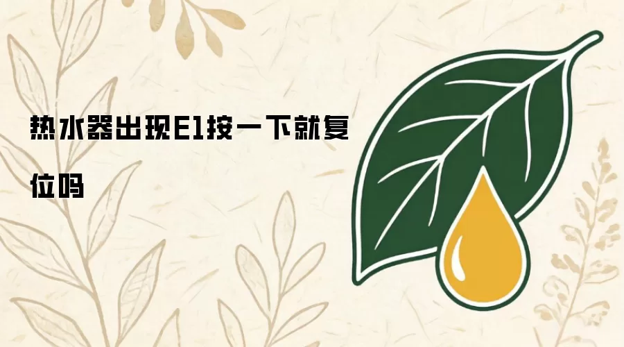 热水器出现E1按一下就复位吗