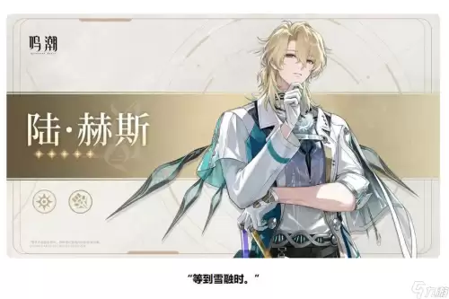鸣潮陆赫斯武器择怎么选-肉盾奶妈输出这样配