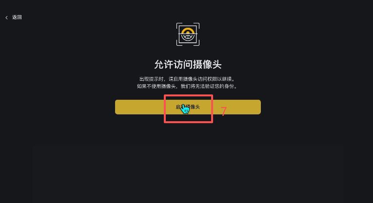 身份认证中的人脸核验页面示例