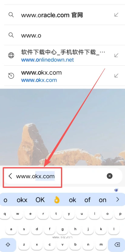 在浏览器地址栏核对OKX网页地址示例